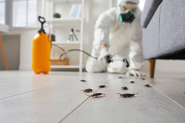 Commercial Rodent Management in Oakland City